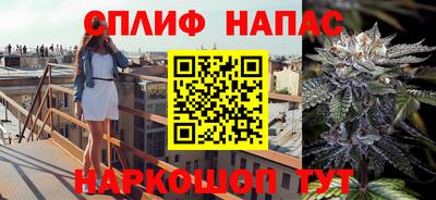 индика Абакан