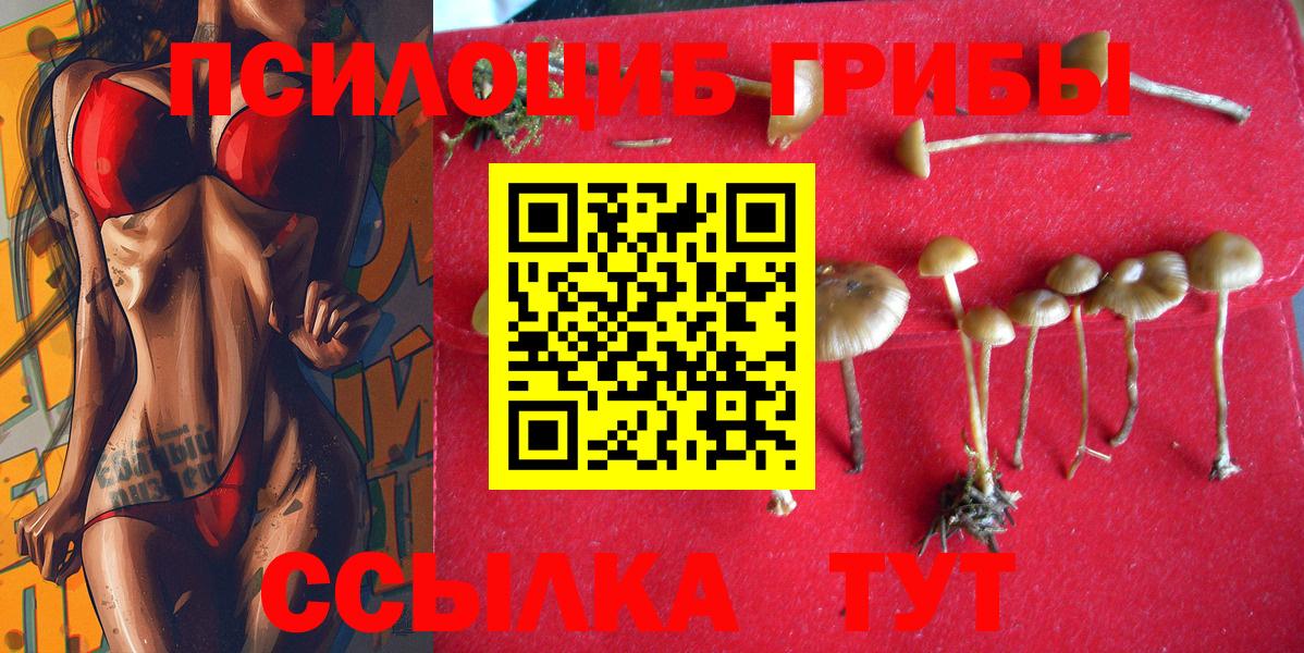 Азнакаево  Галлюциногенные грибы мицелий  Вход с VPN 
