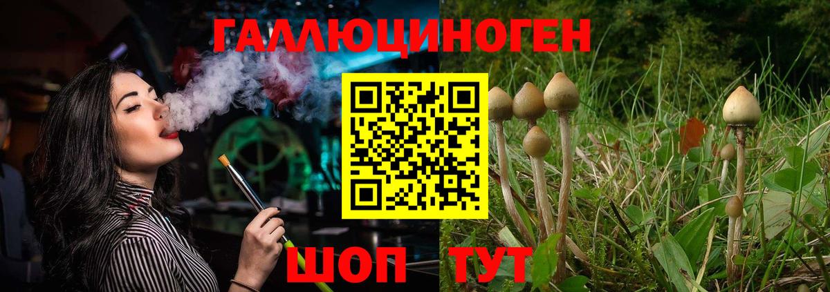 Псилоцибиновые грибы Psilocybine cubensis Азнакаево